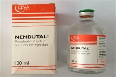 Nembutal de vânzare la preț redus